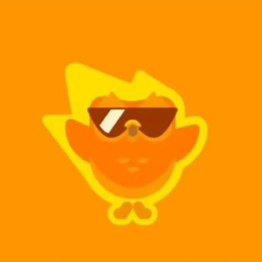 Duolingo Super Premium 1 Yaer Your Own Account Can Learn a New Language Anytime Anywhere