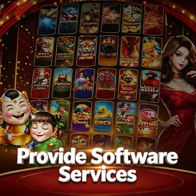 Software Developer Provide Professional Customized Online Game Software for Partner