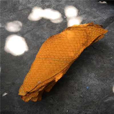 25*10cm Colorful Genuine Salmon fish skin leather piece multi color DIY bag belt shoes accessories