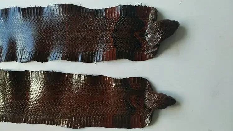 Colorful Grain Real Genuine Snake Leather Skin Whole Piece