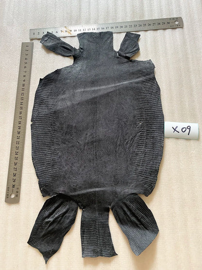 Natural Lizard Skin Leather for Phone, Pendant, Leather Bag, Shoe Belt, DIY, Handmade Leather Materia